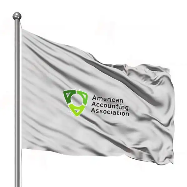 The American Accounting Association Gnder Bayra