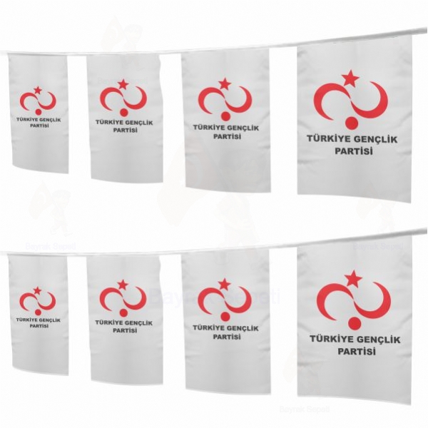 Trkiye Genlik Partisi pe Dizili Ssleme Bayraklar