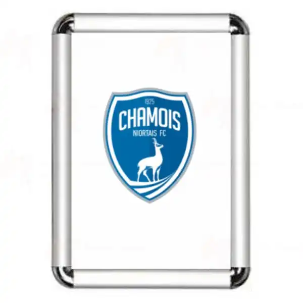 Chamois Niortais Fc ereveli Fotoraflar