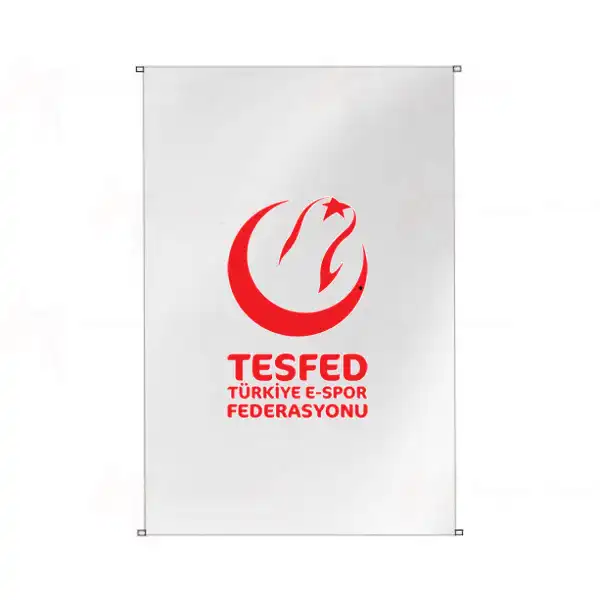 Trkiye E-Spor Federasyonu Bina Cephesi Bayraklar